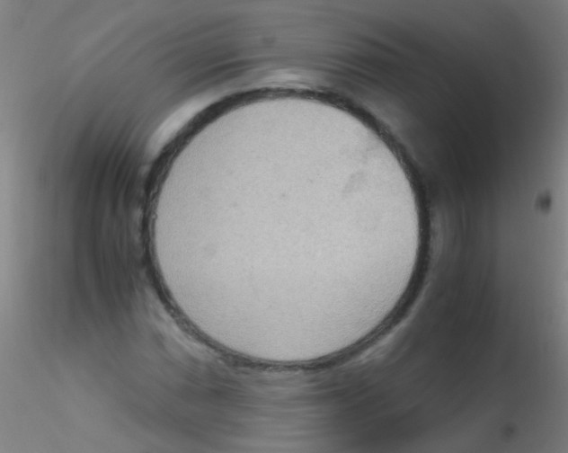 X0000115191066200911251414