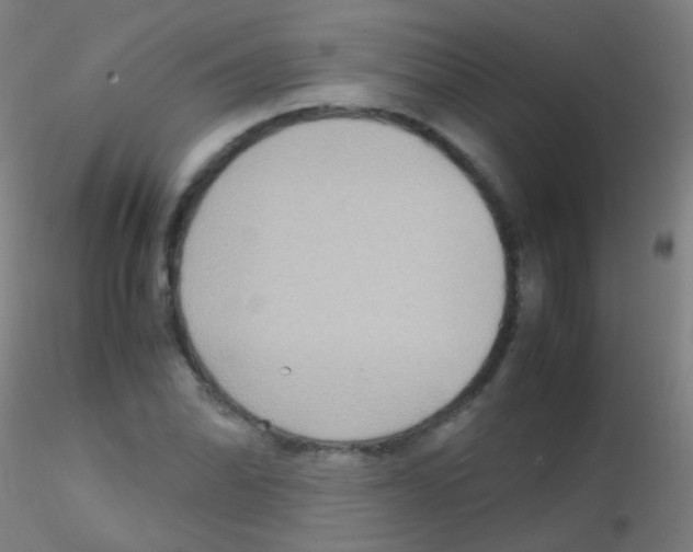 X0000115191070200911251414