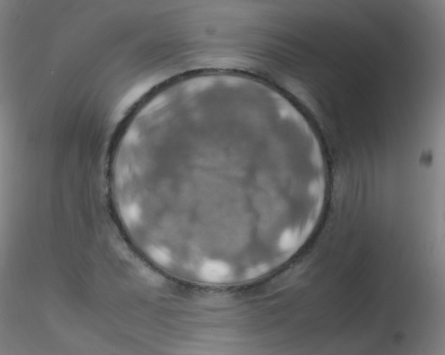 X0000115191071200911251414