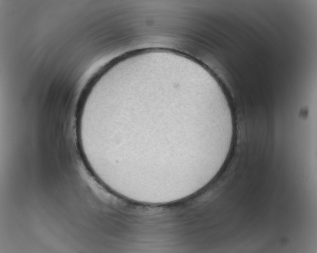 X0000115191072200911251414