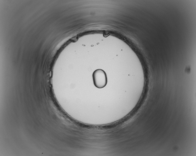 X0000115191073200911251414