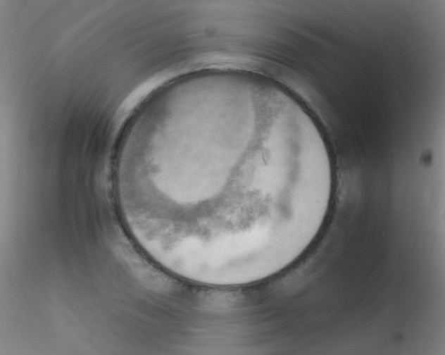 X0000115191074200911251414