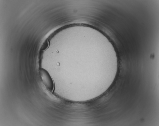 X0000115191076200911251414