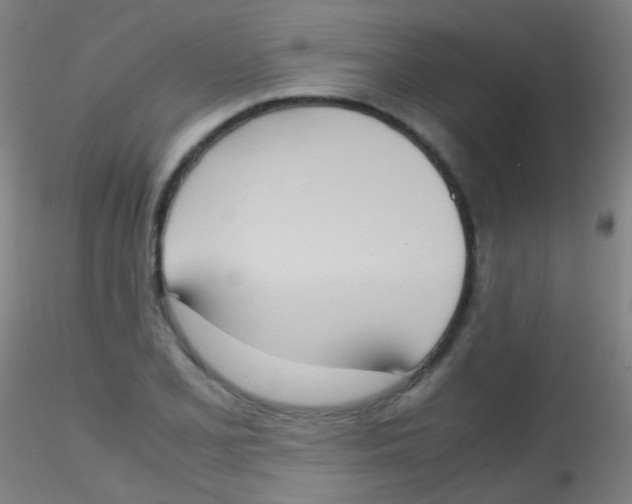 X0000115191077200911251414