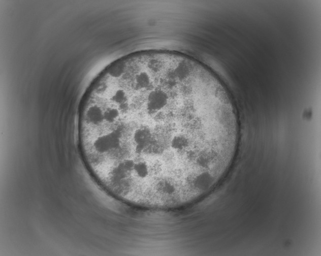 X0000115191079200911251414