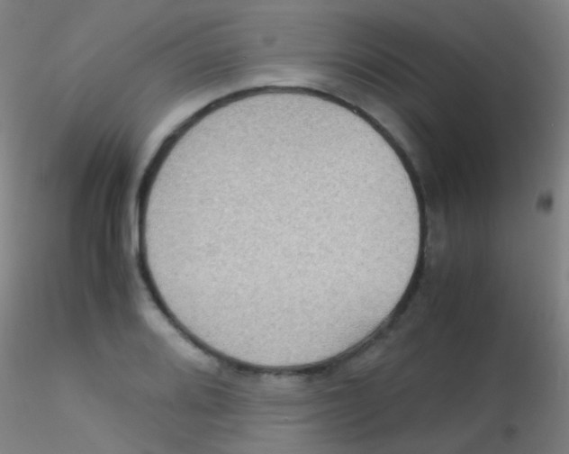 X0000115191080200911251414