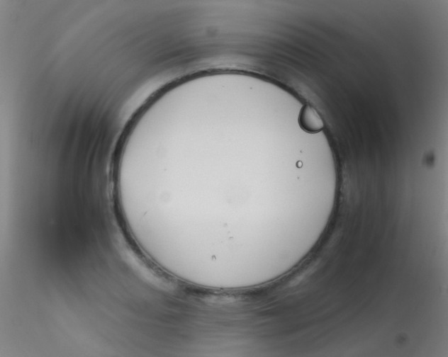 X0000115191082200911251414