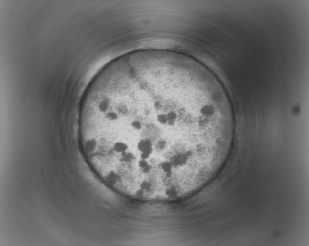 X0000115191083200911251414