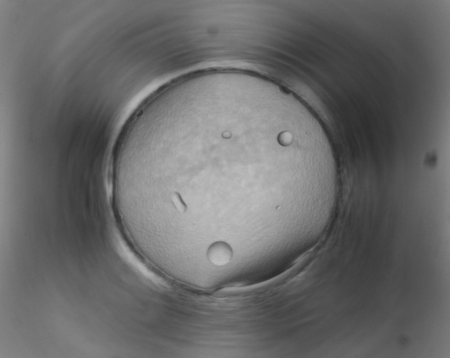 X0000115191084200911251414