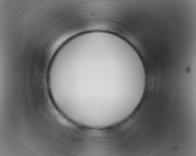 X0000115191086200911251414