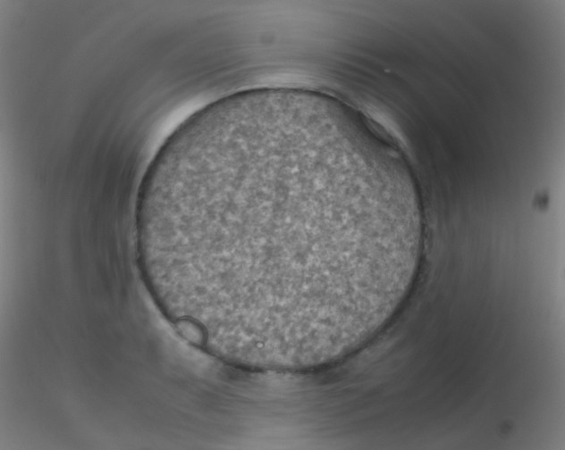 X0000115191087200911251414