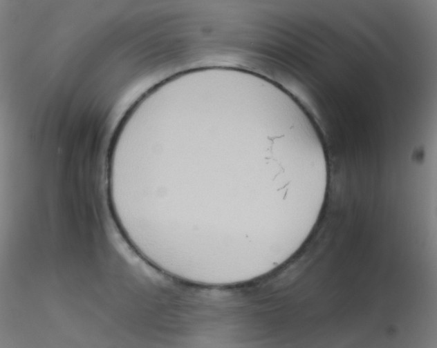 X0000115191088200911251414