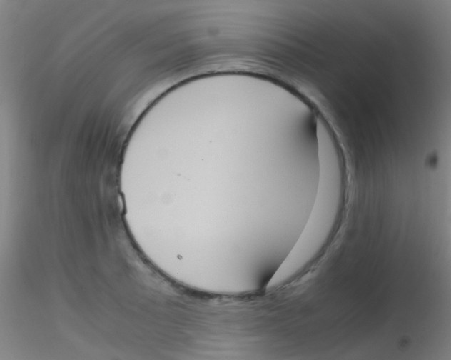 X0000115191089200911251414