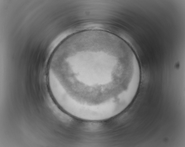 X0000115191090200911251414