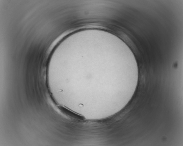 X0000115191092200911251414