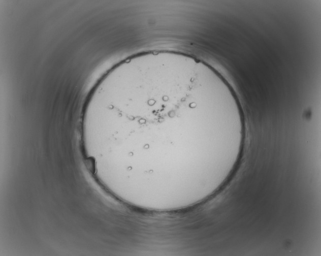 X0000115191093200911251414