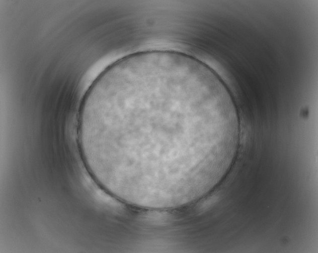 X0000115191094200911251414