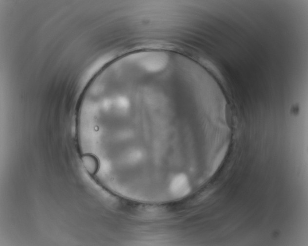 X0000115191095200911251414