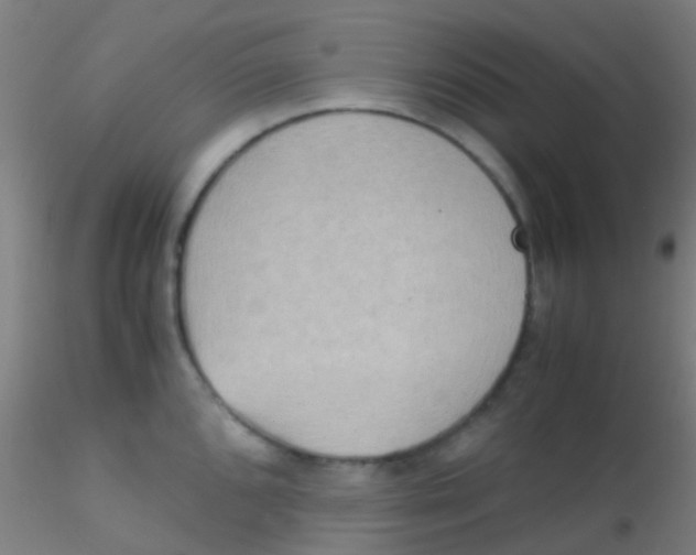 X0000115191096200911251414