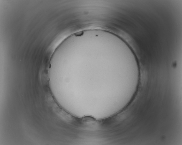 X0000115191097200911251414