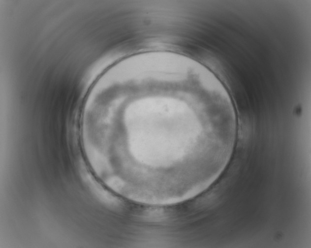 X0000115191098200911251414