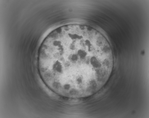 X0000115191099200911251414