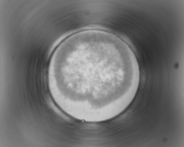 X0000115191100200911251414