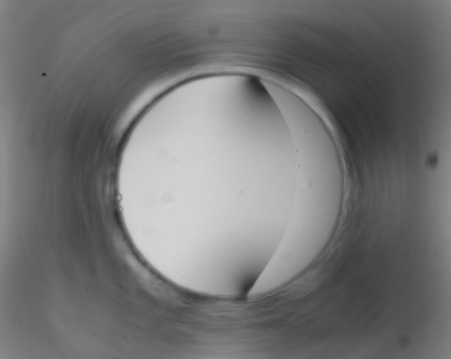 X0000115191101200911251414