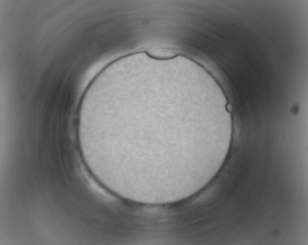 X0000115191102200911251414