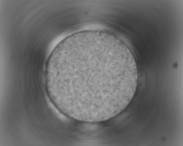 X0000115191103200911251414