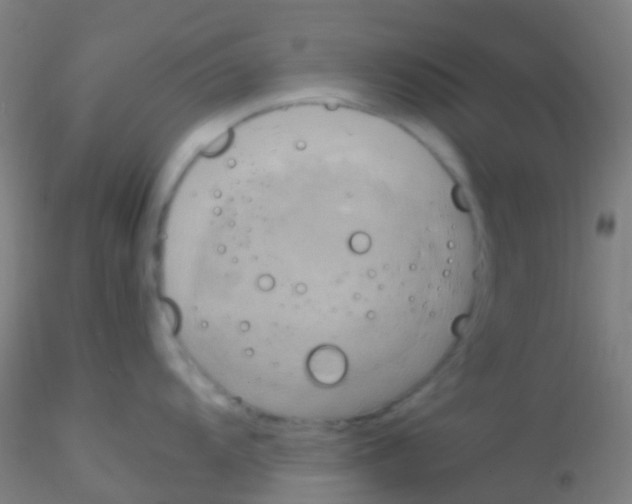 X0000115191104200911251414