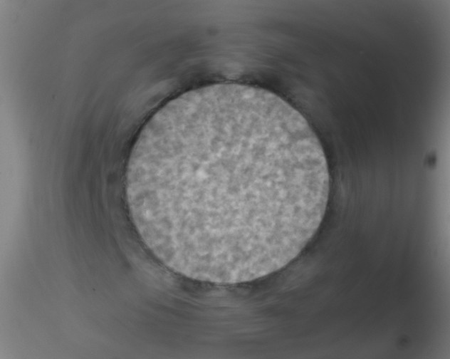 X0000115191105200911251413