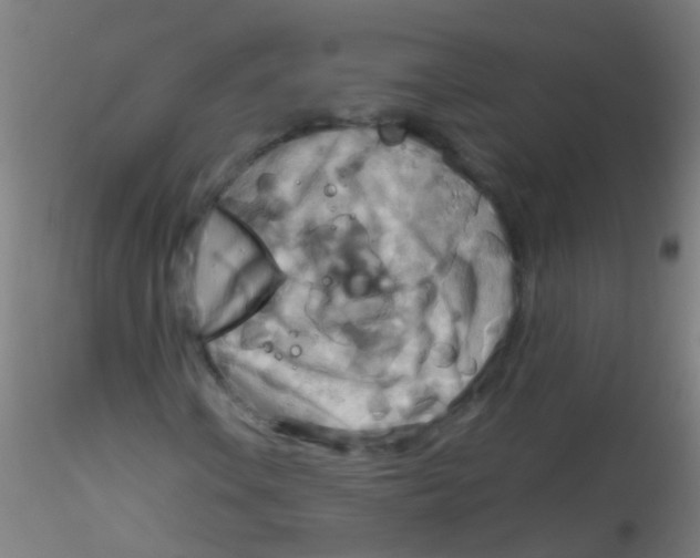 X0000115191106200911251413