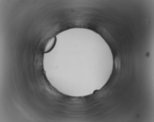 X0000115191107200911251413