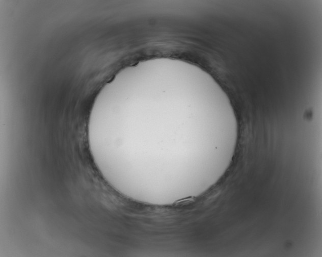 X0000115191109200911251413