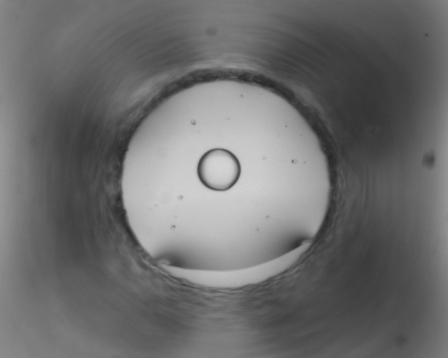 X0000115191110200911251413