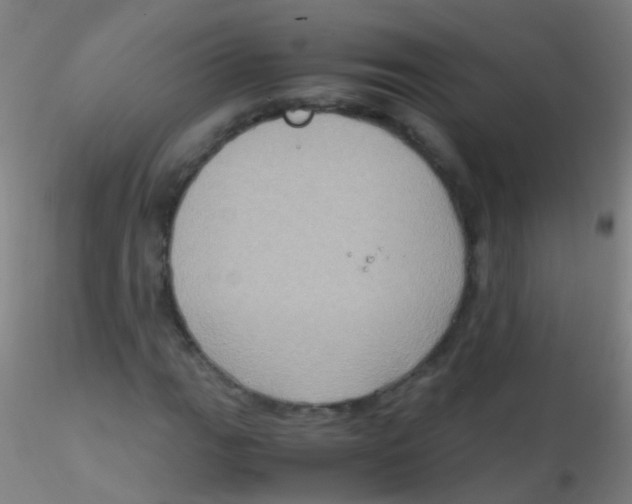 X0000115191111200911251413