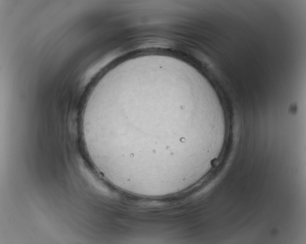 X0000115191113200911251413