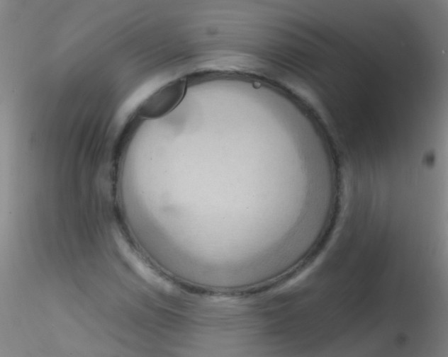 X0000115191114200911251413