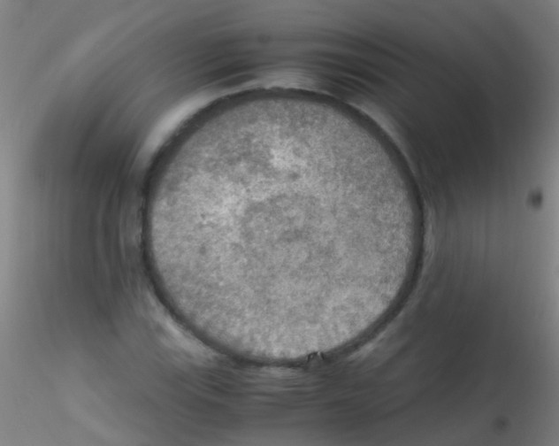 X0000115191115200911251413