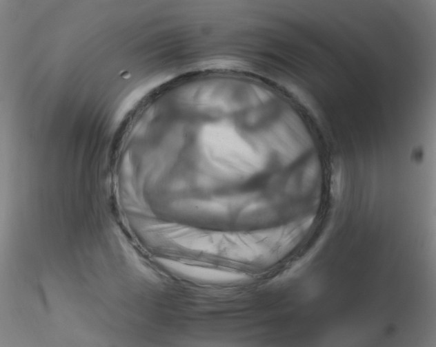 X0000115191117200911251413