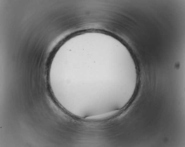 X0000115191118200911251413