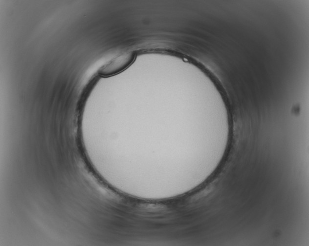 X0000115191119200911251413