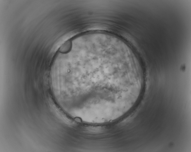 X0000115191121200911251413