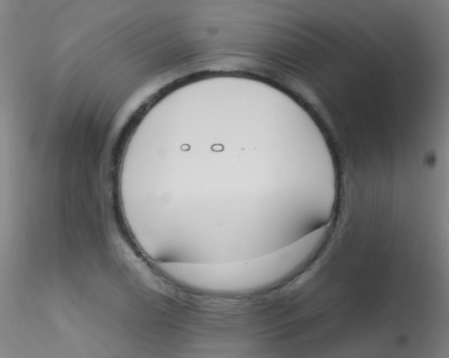 X0000115191122200911251413