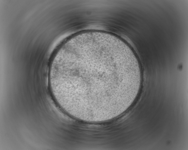 X0000115191123200911251413