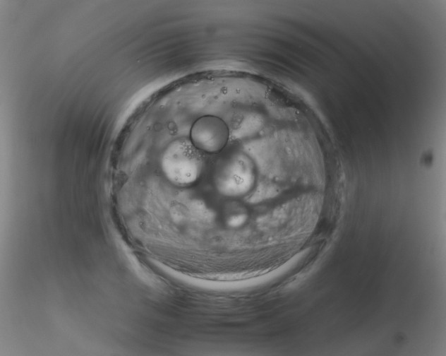 X0000115191125200911251413