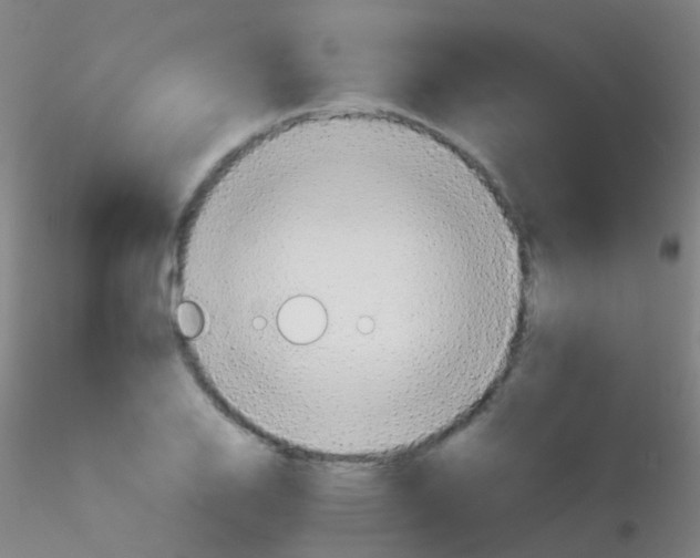 X0000115191126200911251413