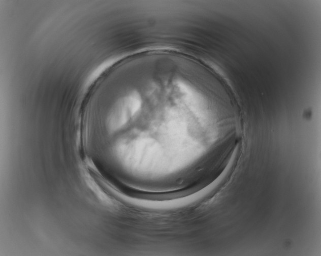 X0000115191127200911251413