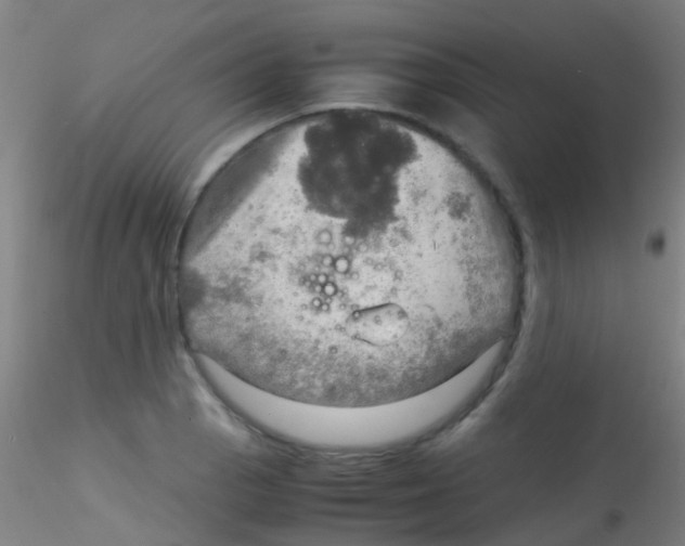 X0000115191129200911251413